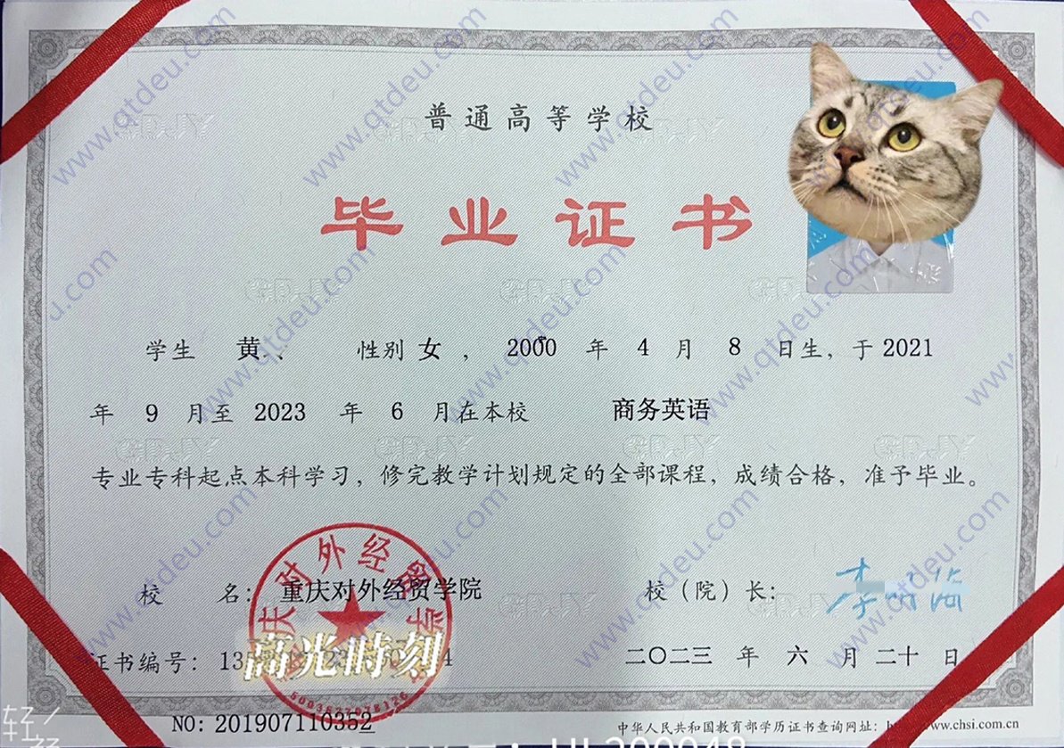 重庆对外经贸学院23年全日制专升本毕业证原版样式图